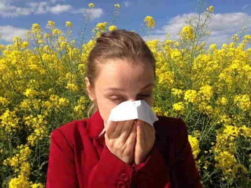 Rinitis alérgica Como la tratamos