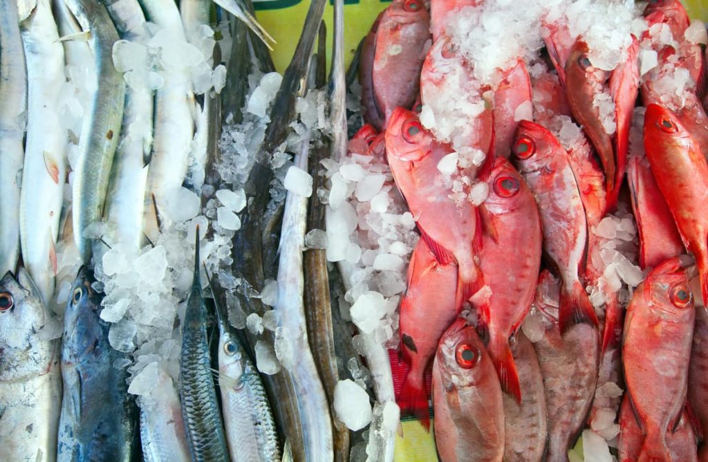 Pescado blanco o azul que comer si eres alergico Alergologo Malaga